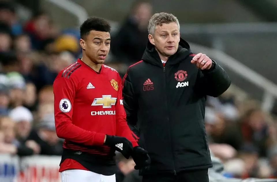 不仅能大幅 不仅能大幅